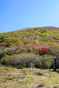 大船山登山道中の休憩所