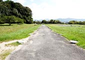 太宰府政庁跡・礎石