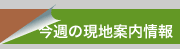 今週の現地売り出し情報