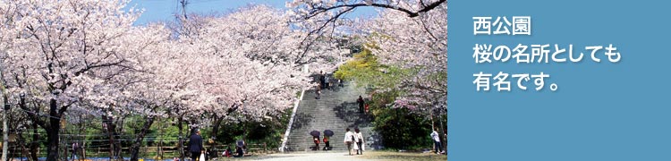 西公園・桜の名所