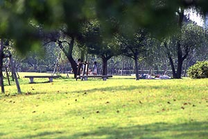 春日公園・芝生広場