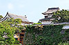 舞鶴公園・福岡城址と鴻臚館、福岡の都心に拡がる大緑地帯。ー歴史と自然に触れる散策ーへのリンク画像