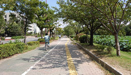 平和台付近街路