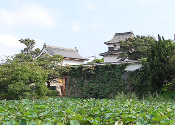 舞鶴公園、大手門と潮見櫓の写真