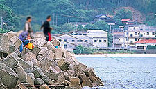 鹿家付近釣り場写真