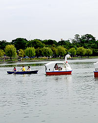 大濠公園・白鳥ボート１