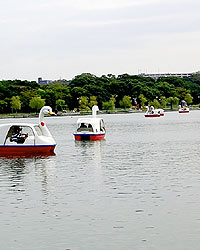 大濠公園・白鳥ボート２