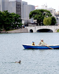 大濠公園・手漕ぎボート１