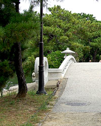 大濠公園・茶村橋１