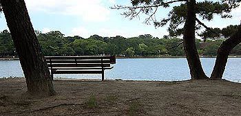 大濠公園、池中央の島・松島の水辺写真です。
