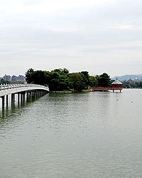 大濠公園・観月橋２