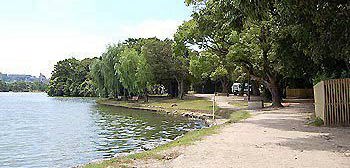 大濠公園、舞鶴橋付近の水辺の写真です。
