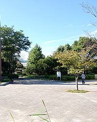 西部運動公園の時計塔