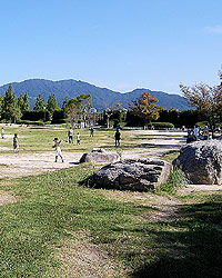 西部運動公園の芝生広場