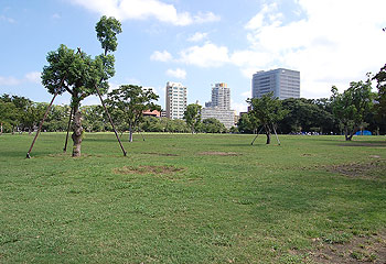 舞鶴公園の西側の芝生広場の写真です。