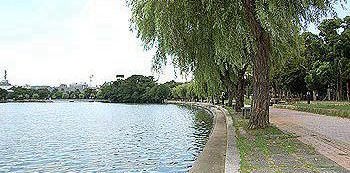 大濠公園、池の南側水辺の写真です。