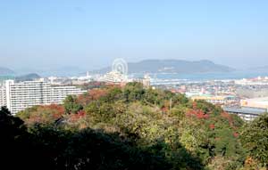 愛宕神社から見る博多湾や天神方面の景色。